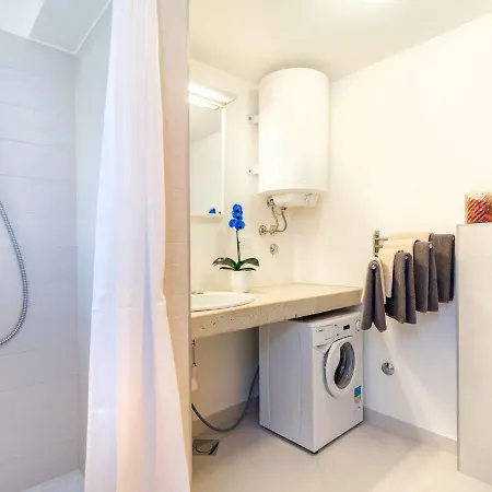 Ferienhaus Novigrad 250s